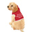 Red "Blessed to Have A Family Like You" Pet Hoodie, Dog Sweatshirt, Family Gift, Pet Lover Gift