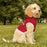 Red "Blessed to Have A Family Like You" Pet Hoodie, Dog Sweatshirt, Family Gift, Pet Lover Gift